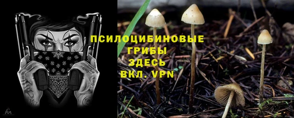 Альфа ПВП Зерноград