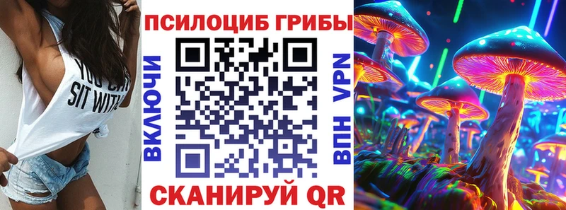 где найти   Ковров  OMG онион  Галлюциногенные грибы Cubensis 